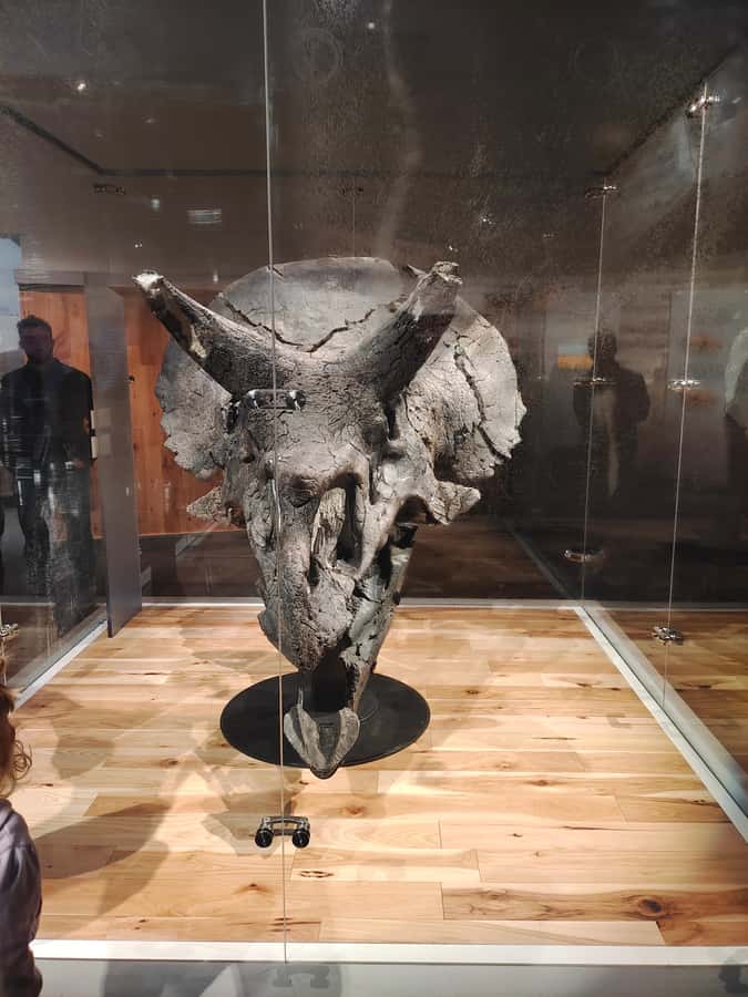 Badlands Tour: Drumheller with Museum, Hoodoos & Coal Mine - Atlas Coal Mine as an optional history add-on