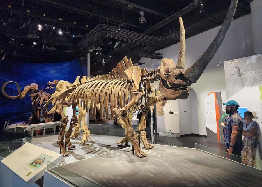 Badlands Tour: Drumheller with Museum, Hoodoos & Coal Mine - What’s included, what’s not, and where the $126 value really lands