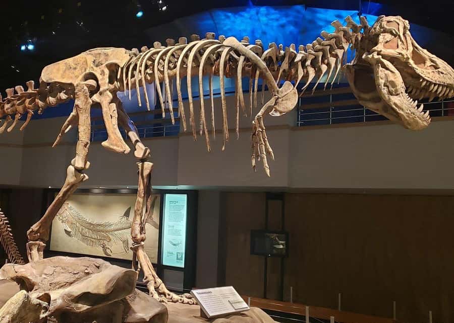 Badlands Tour: Drumheller with Museum, Hoodoos & Coal Mine - Comfort checklist for wind, walking, and rock photos