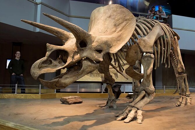 Badlands Tour: Drumheller with Museum, Hoodoos & Dinosaurs - Star Mine Suspension Bridge: A Short History Break With Good Views