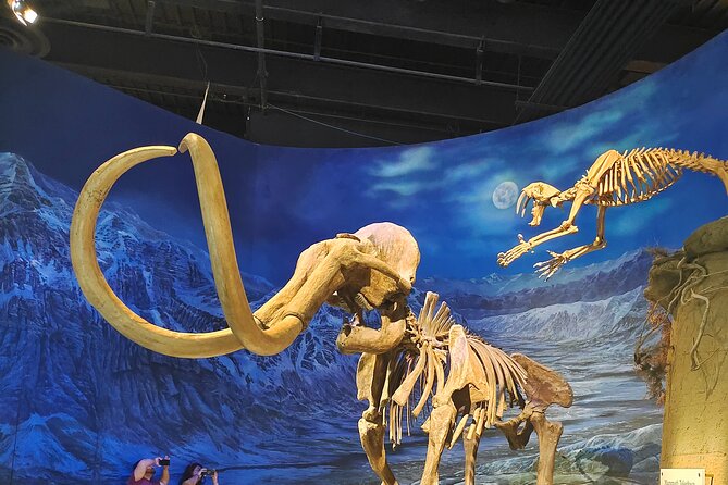 Badlands Tour: Drumheller with Museum, Hoodoos & Dinosaurs - Price and Value: Does $126.22 Make Sense?