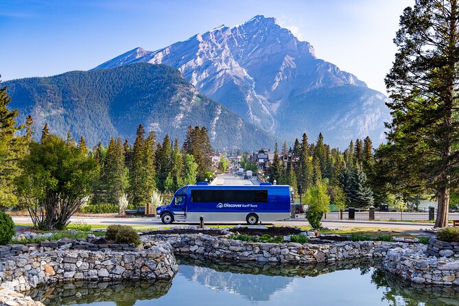Banff and its Wildlife - Year Round Tour - Banff wildlife chances plus the highlights in about 3 hours
