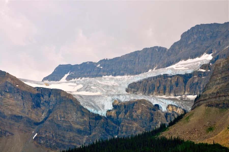 Banff and Jasper National Parks: Tour with Transport - Peyto Lake Viewpoint Walk: Wolf-Head Turquoise Without the Guesswork