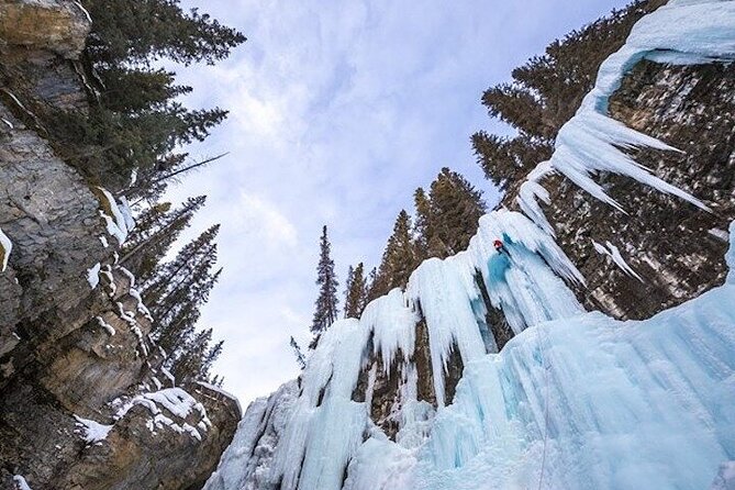 Banff Area & Johnston Canyon 1-Day Tour from Calgary or Banff - Banff town and Banff Avenue: the 90 minutes that can make or break your day