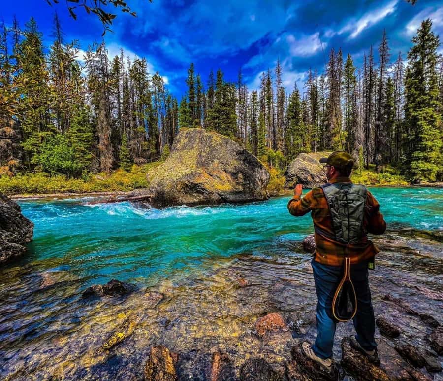 Banff/Calgary/Canmore: Crowfoot Glacier and 5 Lakes Tour - Lake Louise: guided tour plus time for photos and a real lunch option