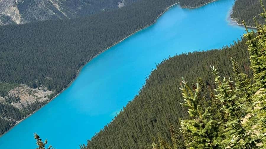 Banff/Calgary/Canmore: Crowfoot Glacier and 5 Lakes Tour - Crowfoot Glacier: the half-hour guided window that works