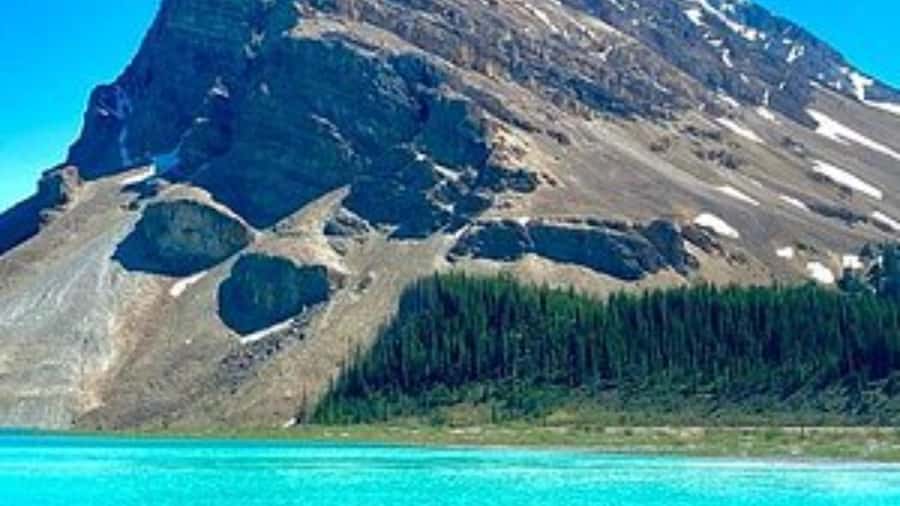 Banff/Calgary/Canmore: Crowfoot Glacier and 5 Lakes Tour - Peyto Lake: the turquoise moment you came for
