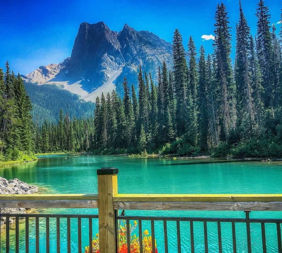 Banff/Calgary:Lake Louise,Moraine Lake,Emerald Lake Day Tour - Pickup times from Calgary, Canmore, and Banff