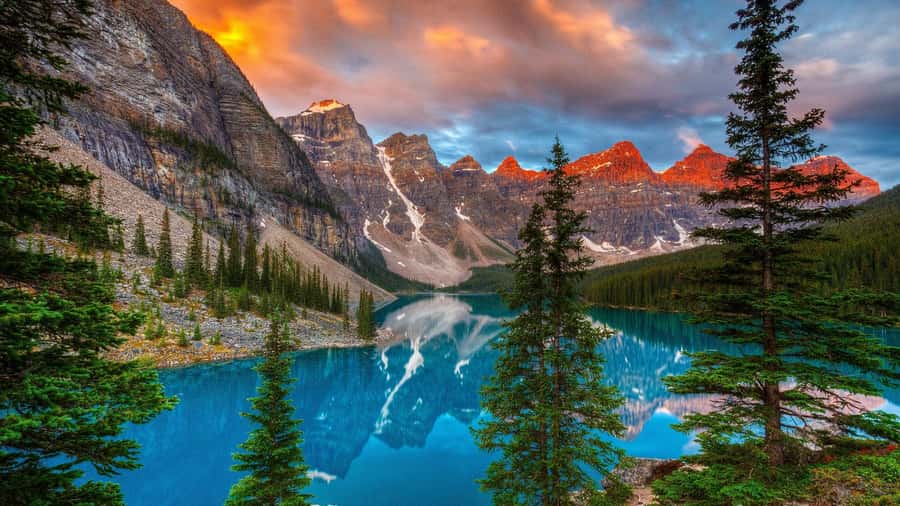Banff/Canmore: Moraine Lake 1.5h & Lake Louise Half-Day Tour - Key things that make this tour work