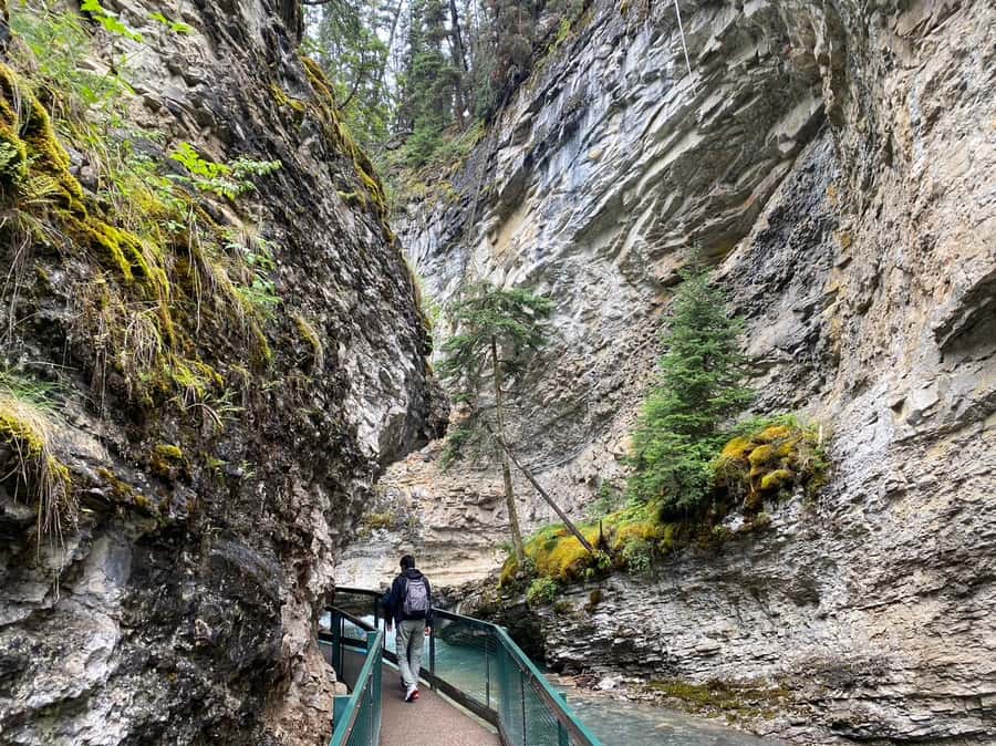 Banff/Canmore: Moraine Lake 1.5h & Lake Louise Half-Day Tour - Lake Louise: 1 hr 15 min to get the classic views