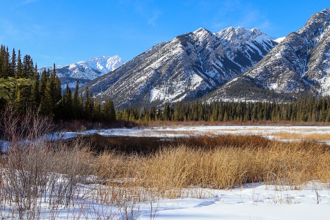 Banff Cave & Hot Springs Audio Walking Tour (Not a Ticket) - World War I Story Beats: The Castle Mountain Internment Camp Question
