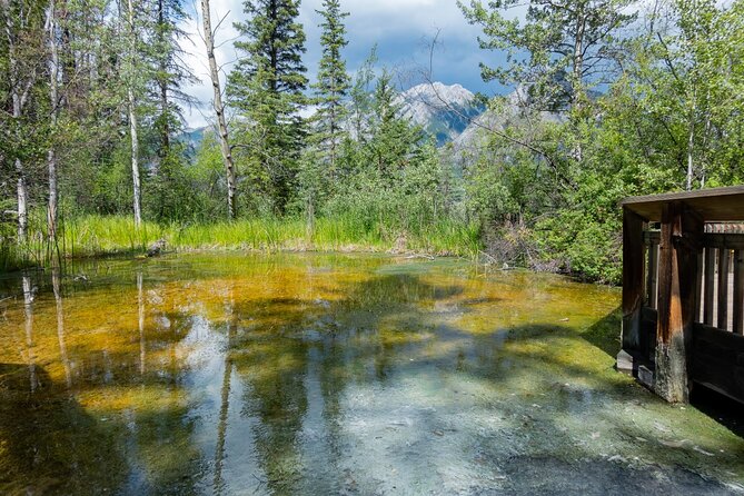 Banff Cave & Hot Springs Audio Walking Tour (Not a Ticket) - Bow River Walk: Easy Hike, Wet Ground, and Wetland Views