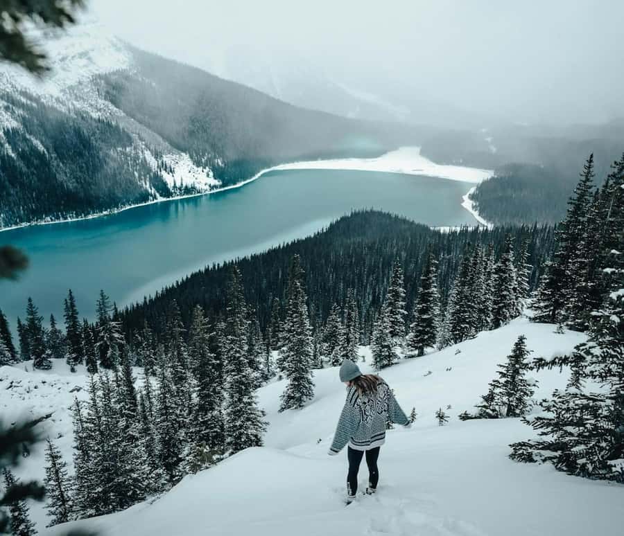 Banff: Columbia Icefield, Skywalk, Parkway, Bow & Peyto Lake - Ice Explorer add-on: the best reason to pay extra