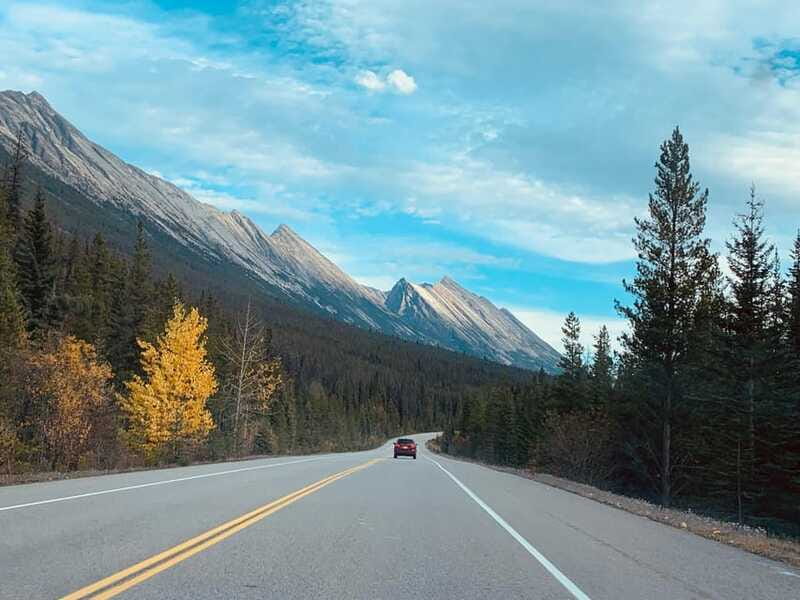 Banff: Columbia Icefield, Skywalk, Parkway, Bow & Peyto Lake - Peyto Lake and Bow Lake: turquoise color plus room to breathe