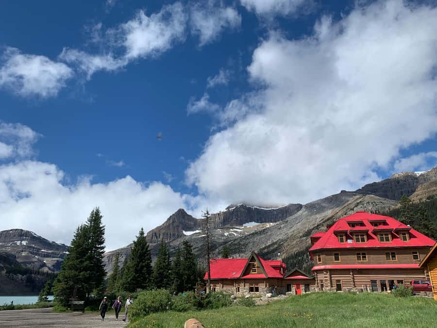 Banff: Columbia Icefield, Skywalk, Parkway, Bow & Peyto Lake - Columbia Icefield and the Athabasca Glacier, the main event
