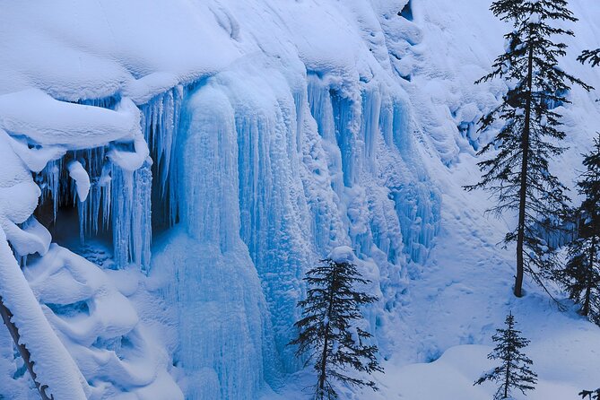 Banff Day Trip: Johnston Canyon, Fairmont Banff Springs, Gondola - Meet your guide at Elk + Avenue Hotel in the heart of Banff