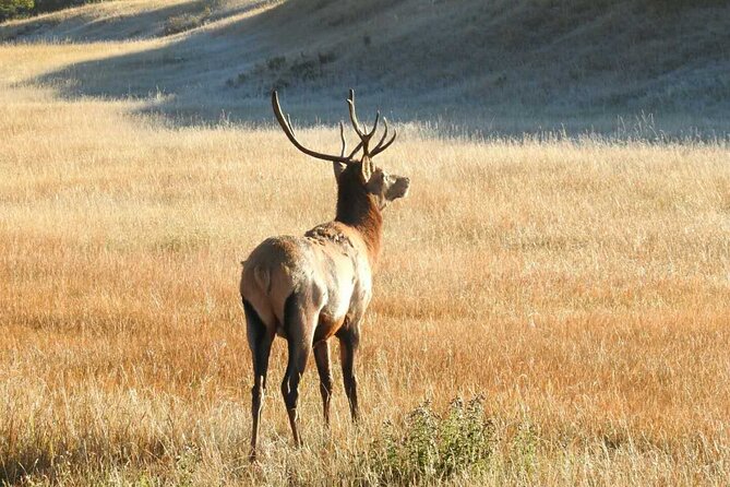 Banff Deep 1 Day Tour in small group - Price and Value: Is 186.58 Worth It?