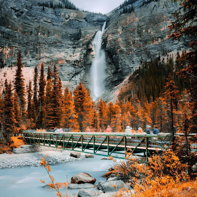 Banff: Emerald Lake, Wapta Falls & Takakkaw Falls Day Trip - Key things that make this day trip work so well