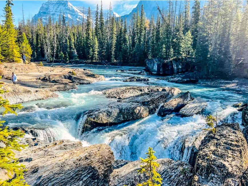 Banff: Emerald Lake, Wapta Falls & Takakkaw Falls Day Trip - Who this day trip fits best (and who should skip it)