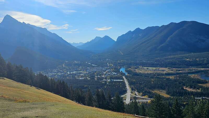 Banff: Evening Wildlife Safari Guided Tour - The dusk drive: what you’ll actually see from the vehicle
