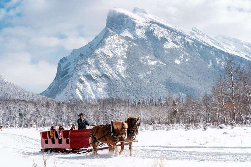 Banff: Family Friendly Horse-Drawn Sleigh Ride - Should you book Banff: Family Friendly Horse-Drawn Sleigh Ride?