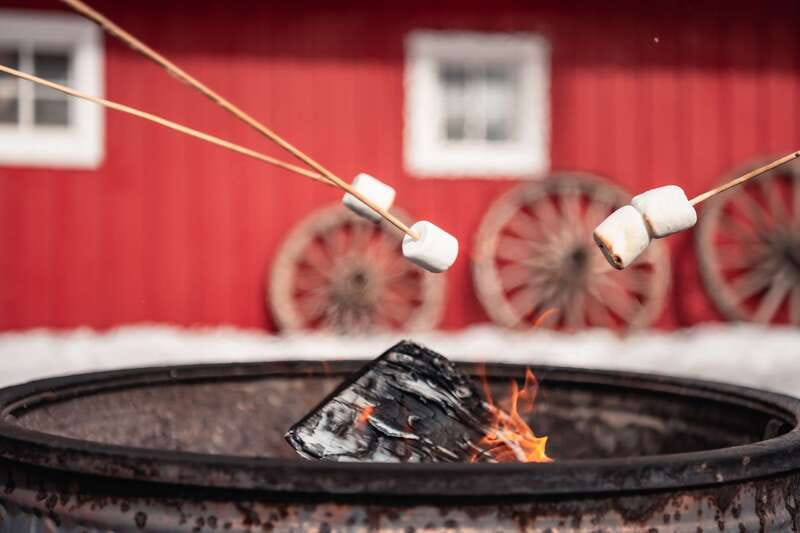 Banff: Family Friendly Horse-Drawn Sleigh Ride - The fireside warm-up: hot drinks and time to slow down
