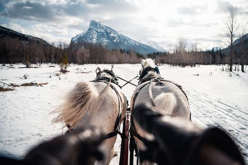 Banff: Family Friendly Horse-Drawn Sleigh Ride - Who should book this Banff horse-drawn ride