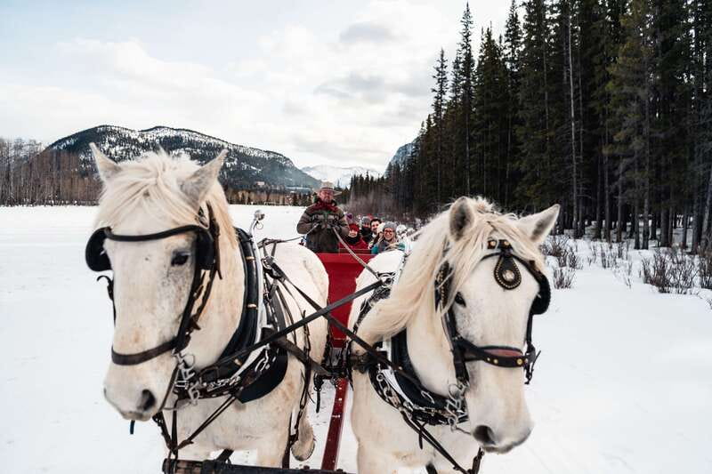 Banff: Family Friendly Horse-Drawn Sleigh Ride - Price and value: is $39 worth 40 minutes plus fire warmth?
