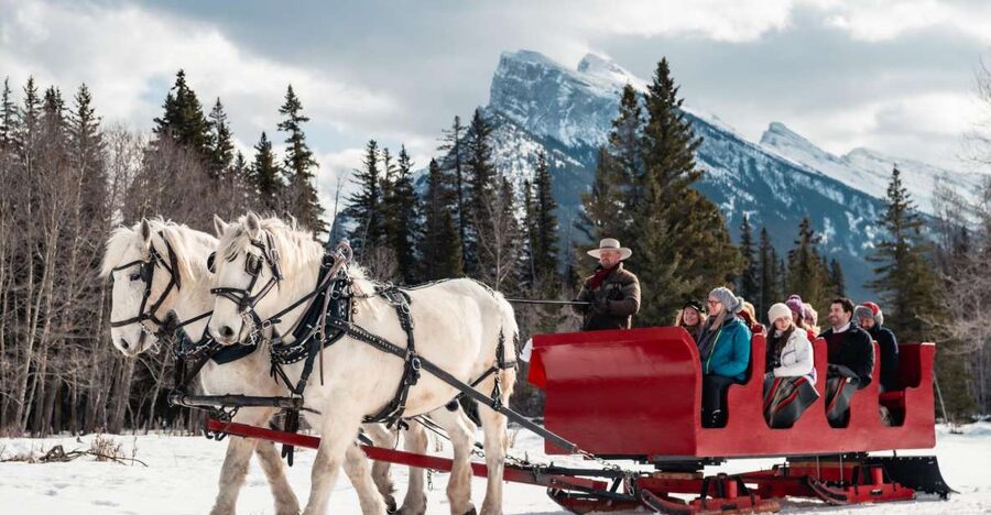 Banff: Family Friendly Horse-Drawn Sleigh Ride - My practical take: when this sleigh ride really shines