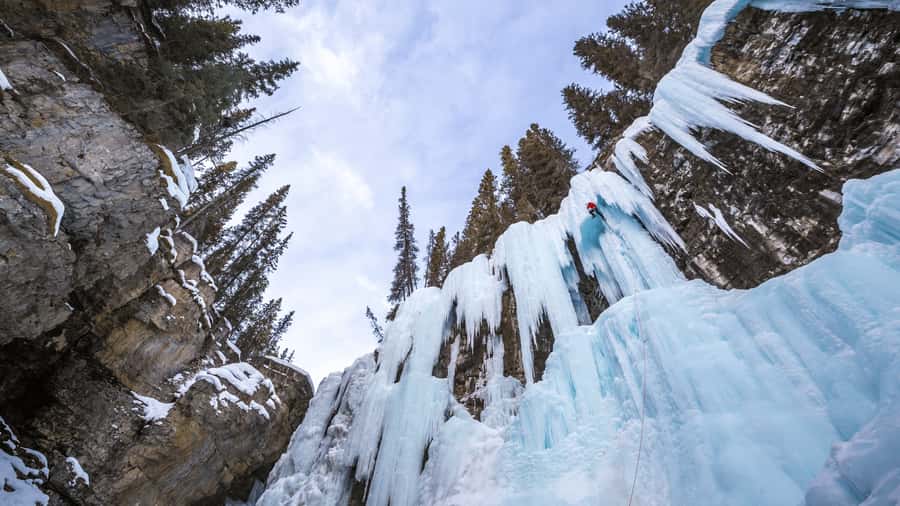 Banff: Gondola Ticket and Johnston Canyon Hiking Tour - Banff Hoodoos and Bow Falls, short stops with real visual punch