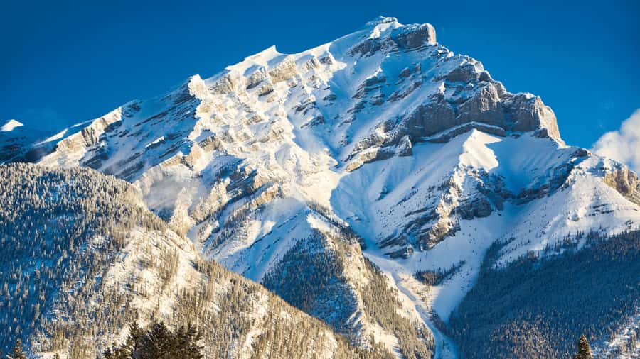 Banff: Gondola Ticket and Johnston Canyon Hiking Tour - Group logistics with Westar Travel, the reality check
