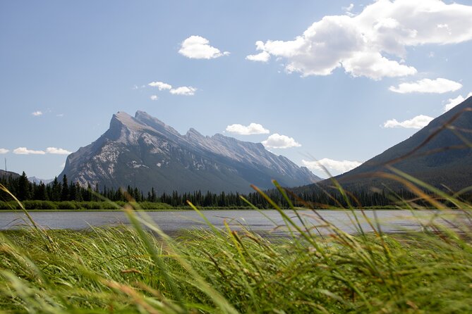 Banff Highlights & Wildlife | Award-Winning Small Group Adventure - Price and value: is $94.06 worth it versus driving yourself?