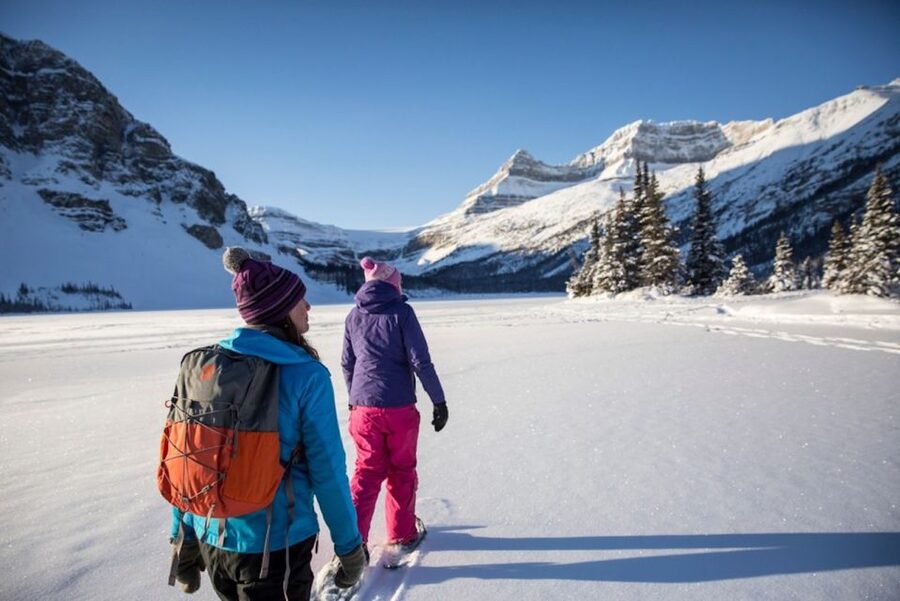 Banff: Icefields Parkway & Abraham Lake Ice Bubbles Tour - How the morning works, pickup to the first big viewpoint