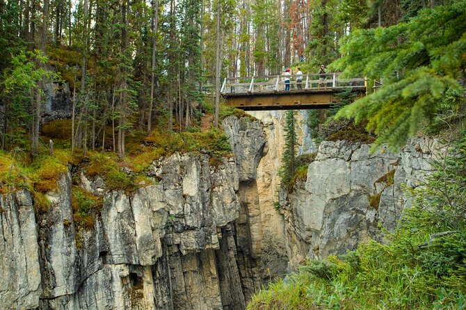 Banff & Jasper: Ultimate Canadian Rockies Experience - Abraham Lake picnic time and wildlife watch