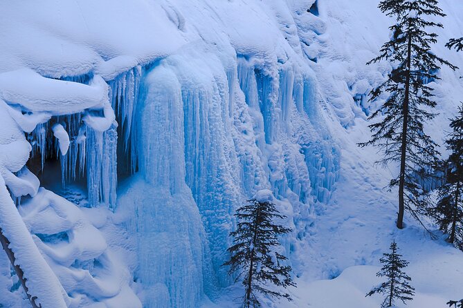 Banff, Lake Louise and Johnston Canyon - Winter Wonderland Tour - Lake Louise: Skates, Snowshoes, and Lakeside Time That Fits Real Bodies