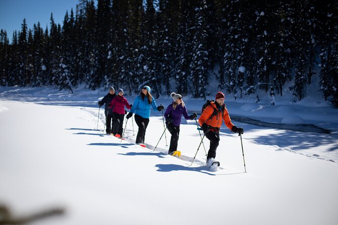 Banff, Lake Louise and Johnston Canyon - Winter Wonderland Tour - Lunch at Lake Louise Village: Plan Ahead for Food Options