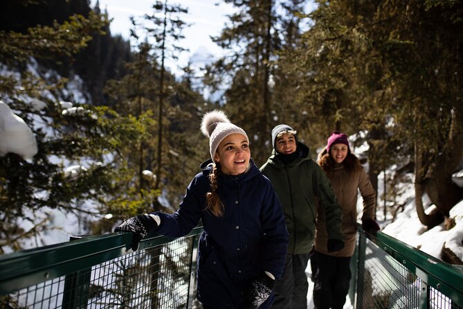 Banff, Lake Louise and Johnston Canyon - Winter Wonderland Tour - Bow Valley Parkway: Mountain Views, Wildlife Scanning, and a Scenic Break