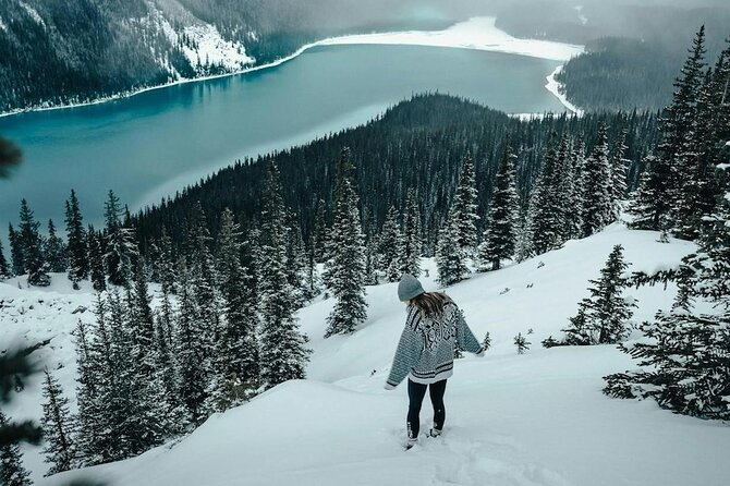 Banff: Lake Louise, Marble Canyon, Bow Lake, Peyto Lake Tour - Columbia Icefield Discovery Centre: why the Icefields Parkway stop is the centerpiece
