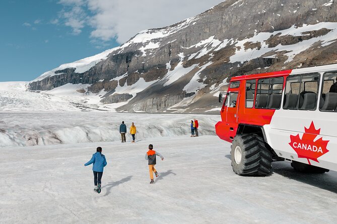 Banff: Lake Louise, Marble Canyon, Bow Lake, Peyto Lake Tour - Bow Lake and Peyto Lake: how the short stops still land
