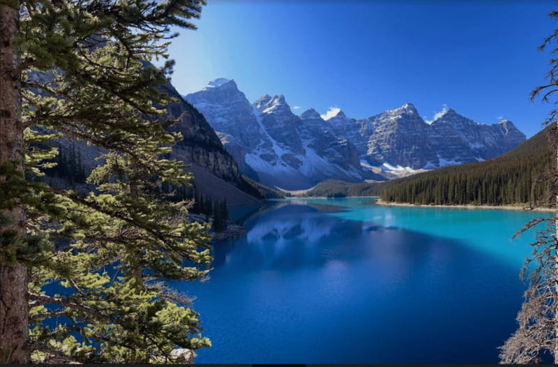 Banff - Lake Louise Moraine Lake and Icefields Parkway Tour - A Full-Day Banff and Icefields Route That Actually Makes Sense