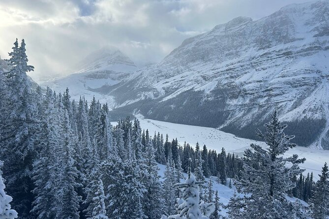 Banff Lakes and Canyon Adventure - Johnston Canyon Two-Hour Walk: Waterfalls, Photo Spots, and Winter Comfort