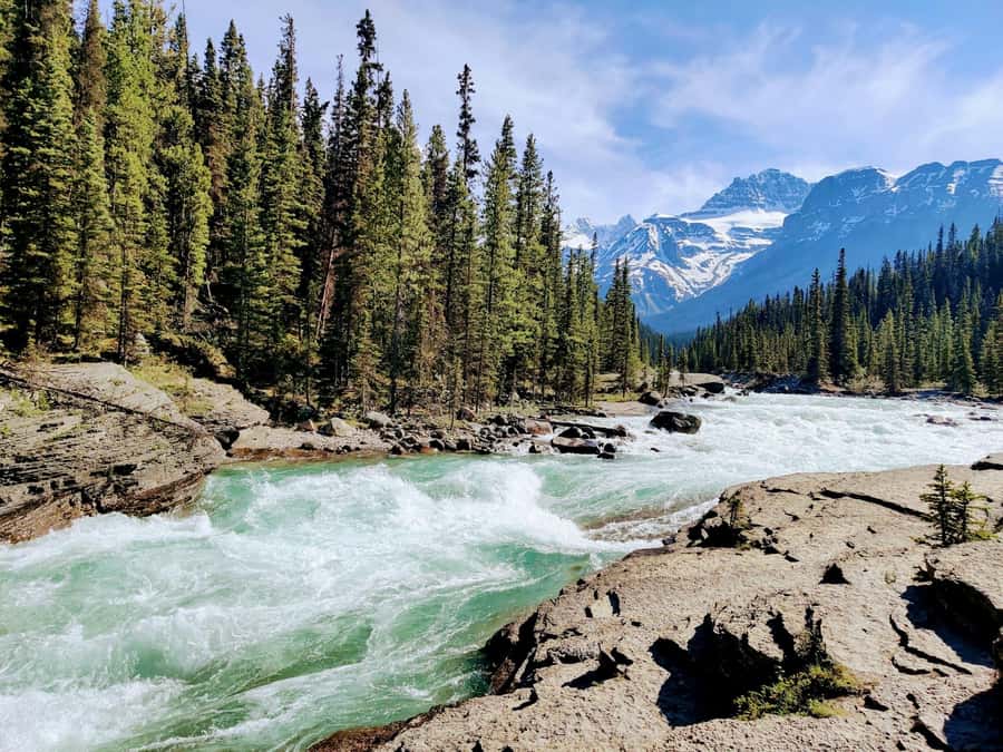 Banff: Moraine Lake, Lake Louise, Emerald Lake and Yoho Trip - Key points worth centering your day