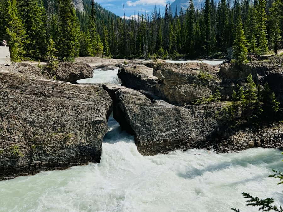 Banff: Moraine Lake, Lake Louise, Emerald Lake and Yoho Trip - Price and value: why this often makes sense around $61