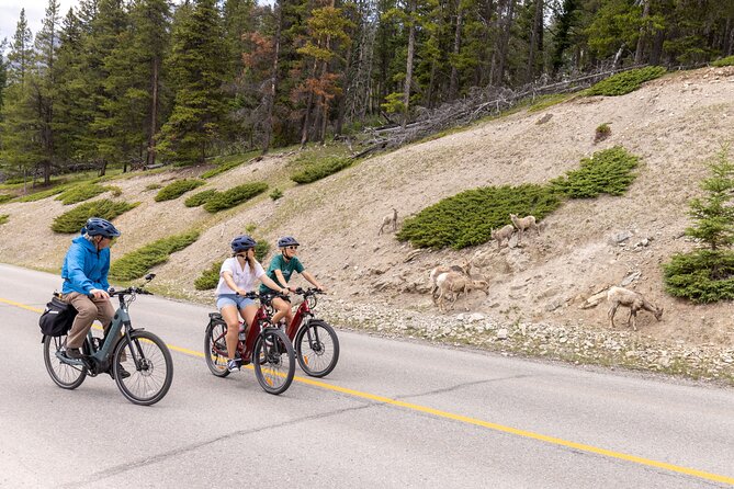 Banff Mountain Lakeside - E-bike Tour - Key Takeaways Before You Book