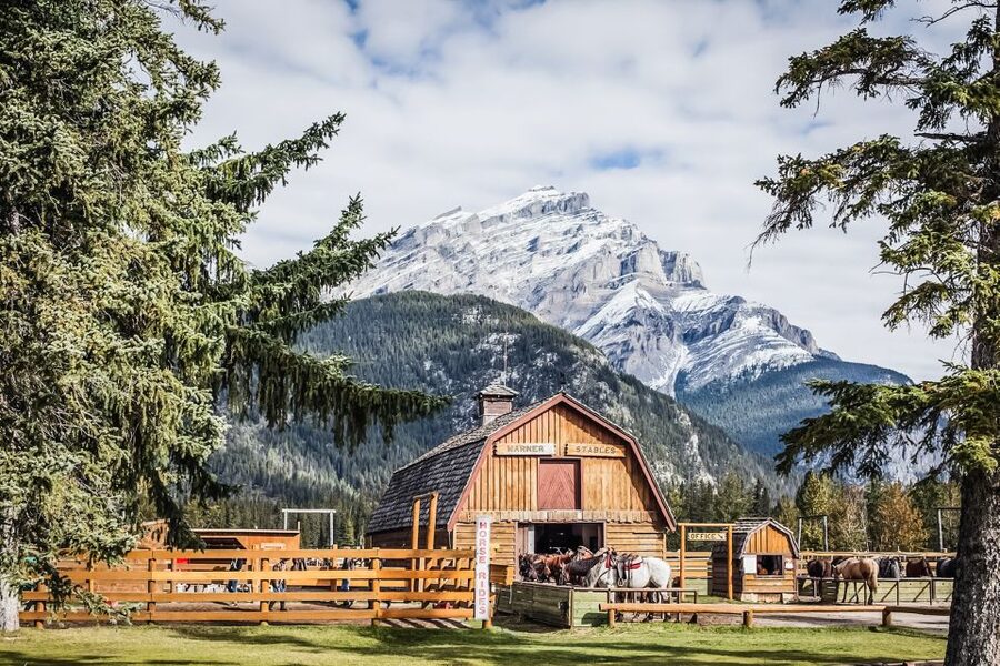 Banff National Park: 1-Hour Bow River Horseback Ride - The Bow River Route and Cave and Basin Views From the Saddle
