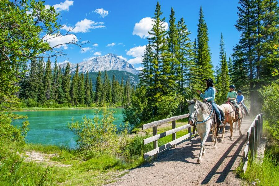 Banff National Park: 1-Hour Bow River Horseback Ride - Wildlife Moments in Marshes and Meadows (and How Horses Help)