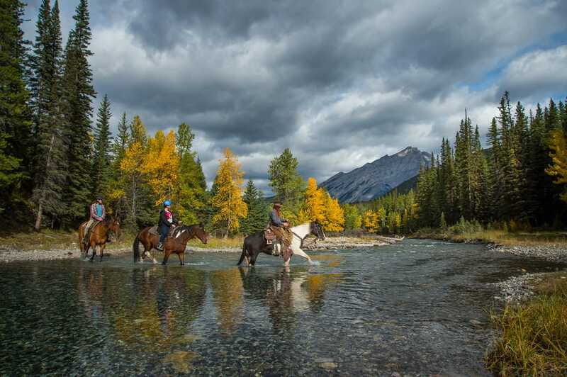 Banff National Park: 1-Hour Spray River Horseback Ride - A partial climb toward Sulphur Mountain and a wooded residential area