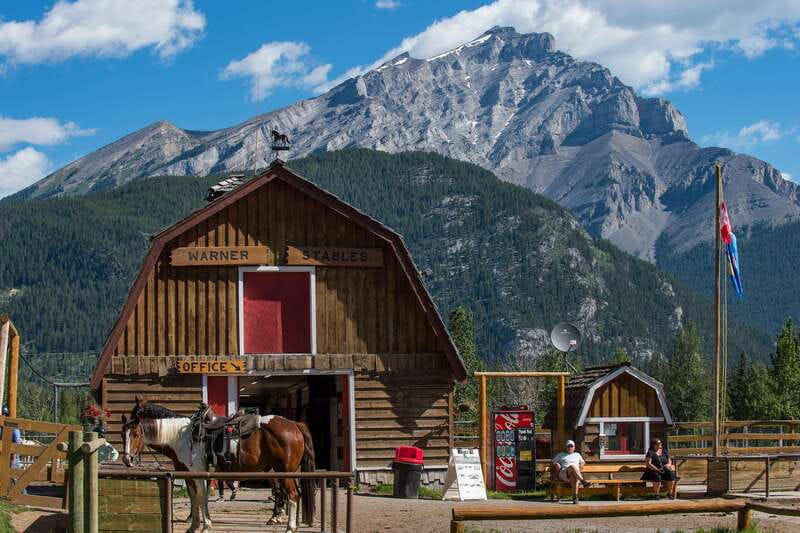 Banff National Park: 2-Hour Sundance Loop Horseback Ride - Wildlife, Plants, and the Guide’s Job Beyond Pointing