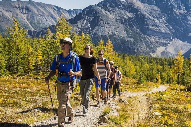 Banff National Park Guided Hike with Lunch - The lunch setup: a packed picnic with a view