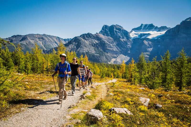 Banff National Park: Guided Signature Hikes with Lunch - Key Highlights You Will Actually Care About